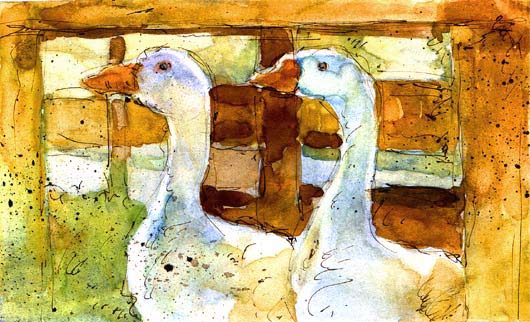 Geese