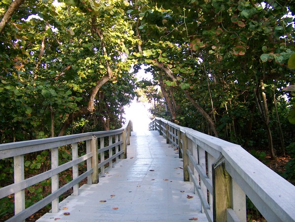 Dead Wood Promenade