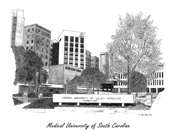 The Medical University of SOuth Carolina
