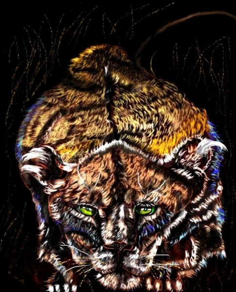 Night Stalker: Be Afaid Of The Dark