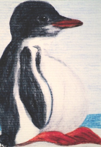 BabyPenguin