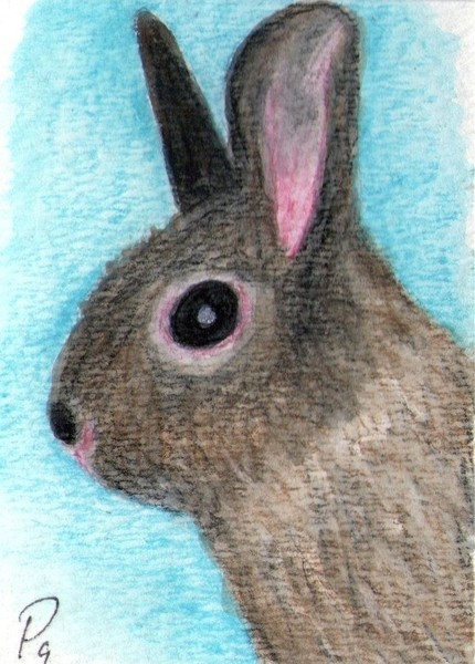 Funny Bunny ACEO Rabbit