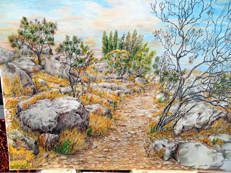California Desert