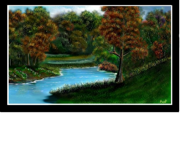 Fall in the Forest