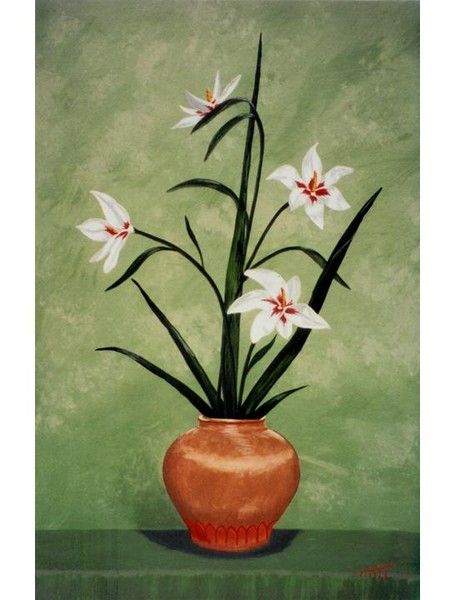 FLOWER (Acidanthera Bicolor)