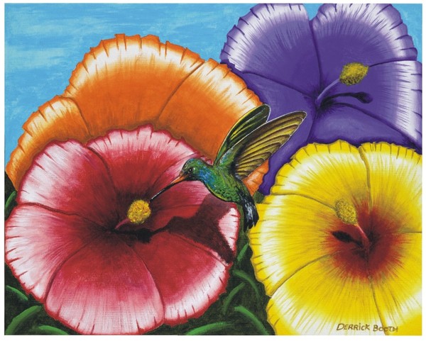 humming bird