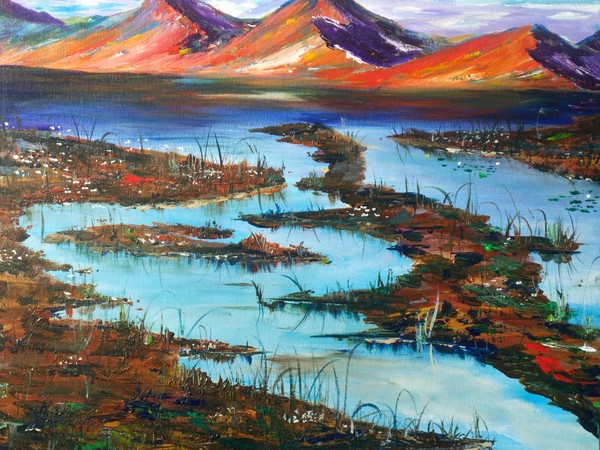 The Bog,  Galway