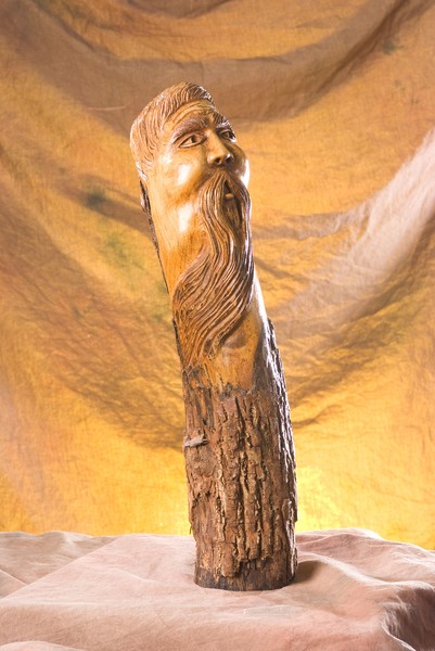 Spirit of the Woods