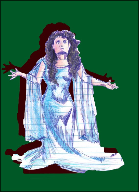 Satin-Gown-with-Shadow