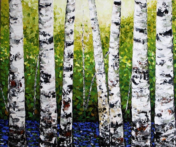 SILVER BIRCH