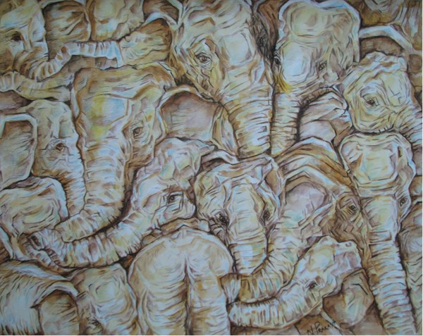 elephant