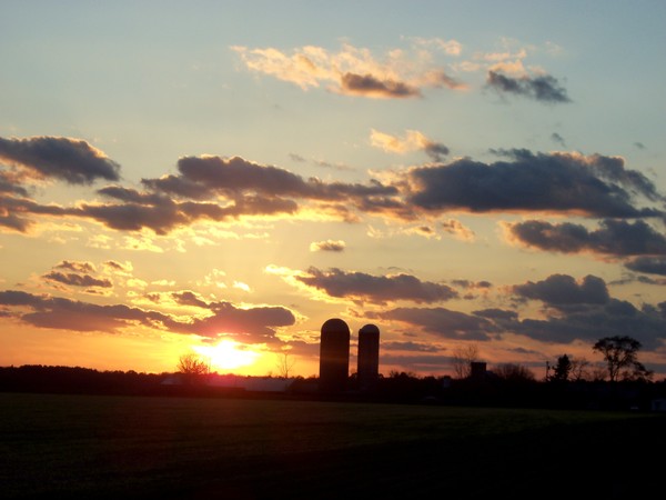 sunset on the farm