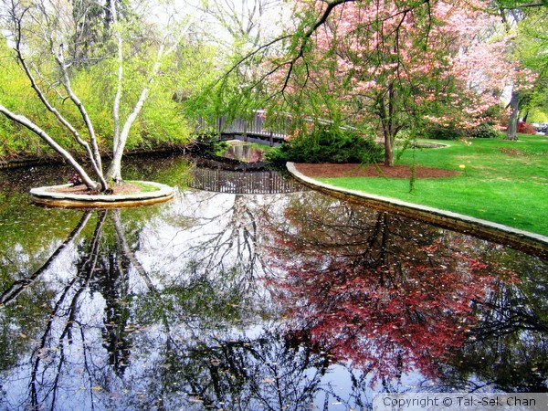 Tranquility