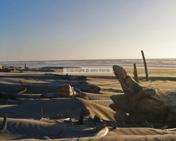 Waves of Sand