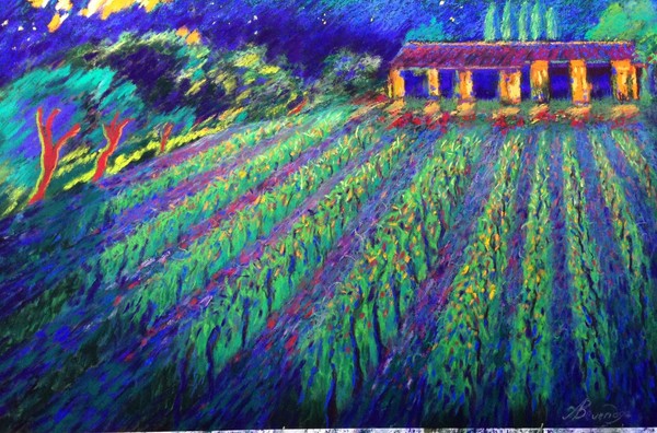Nocturnal Vineyard