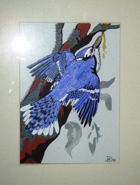 Jay 1