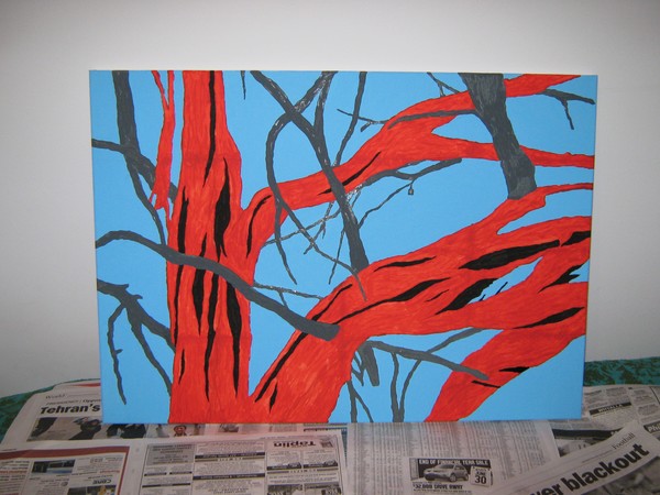 Branches at sunset