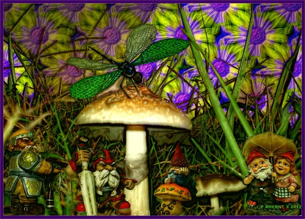 Vision Quest: Gnomies