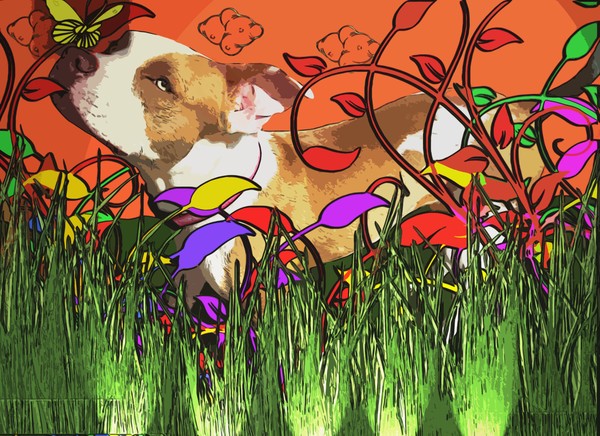 Pitbull puppy with a butterfly