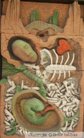 reenkarnation relief
