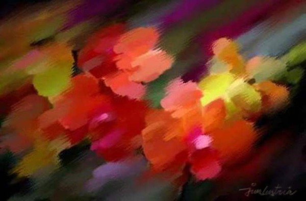orchid1