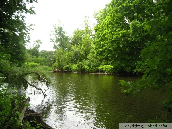Stream at Lee, Mass.