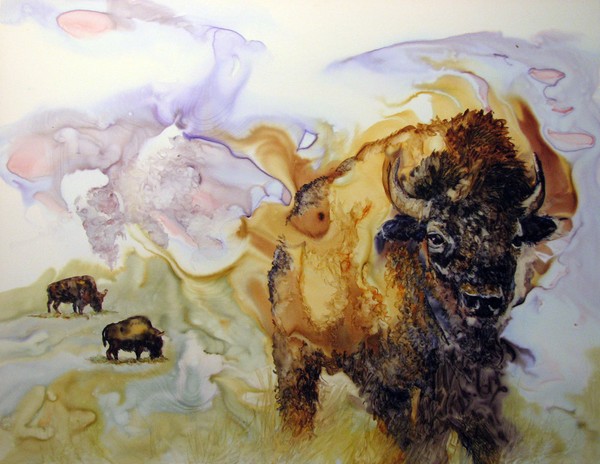 Buffalo Visions