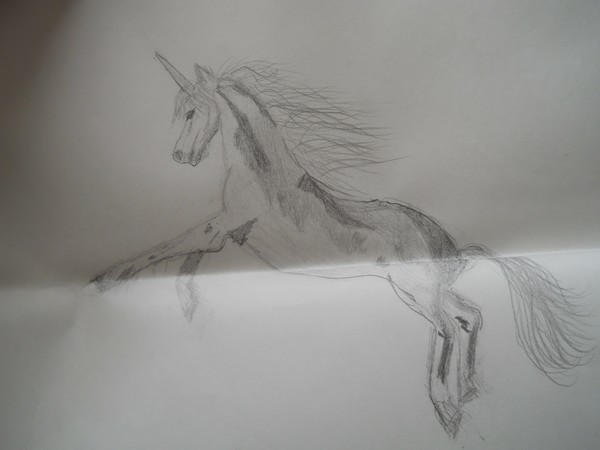 unicorn