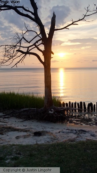 One Alone in the Sunset