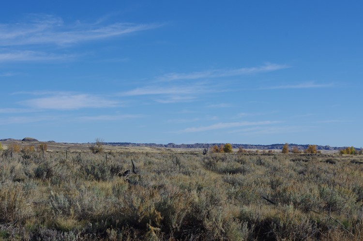 Fallin' Fence Line
