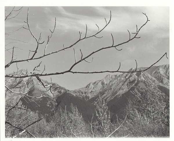 Reach the Sky part one