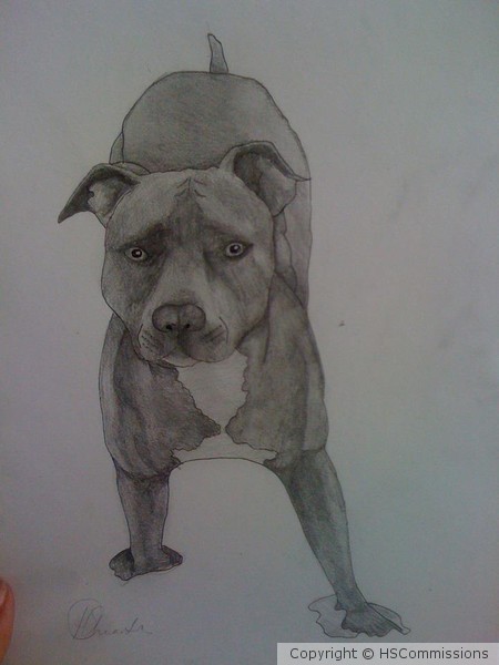 Commission - Sold