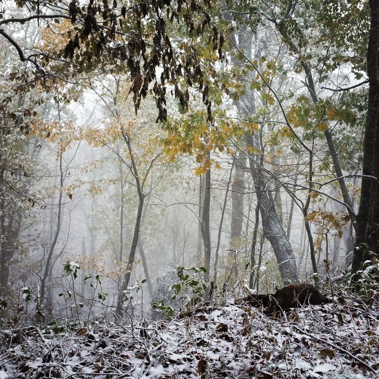 Early Snow Blue Ridge Parkway