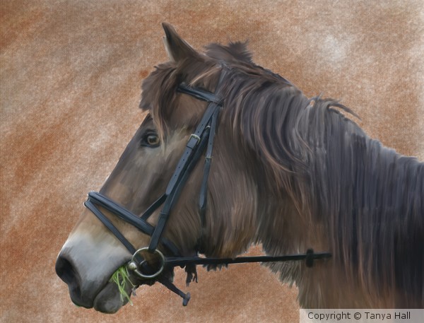 Oil Painted Horse Portrait