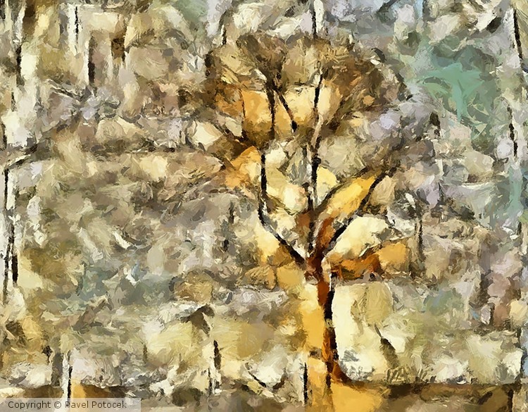 Tree II
