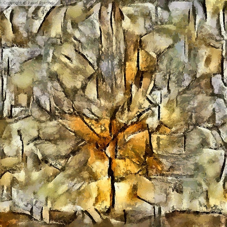 Tree XVI
