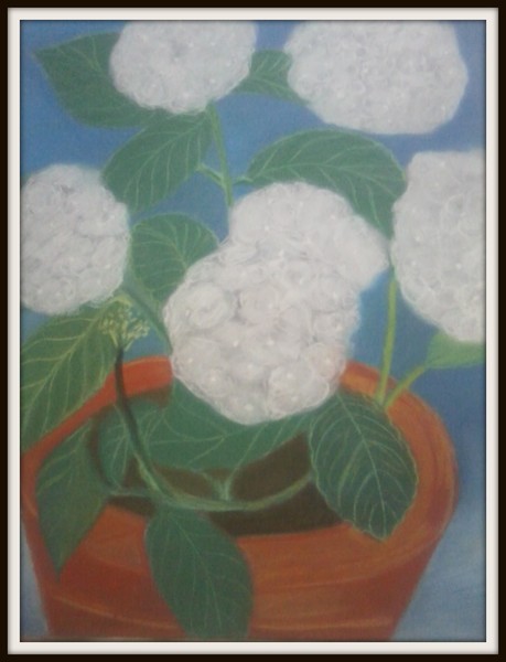 flowers in pot