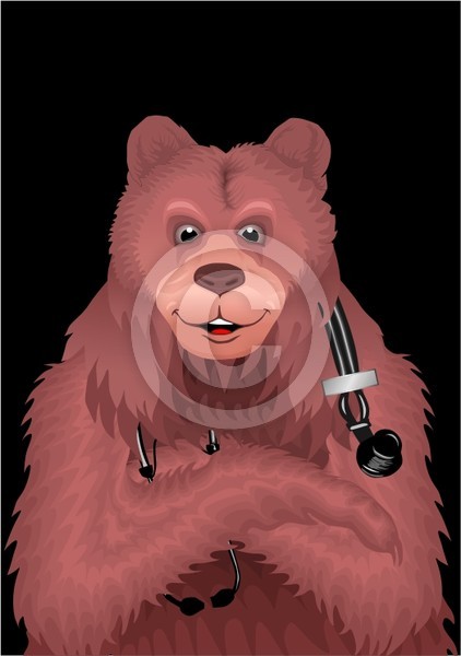 dr bear