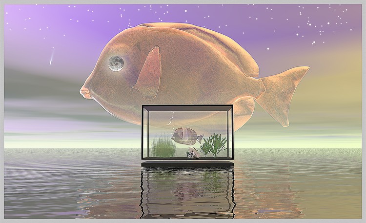 Aquarium