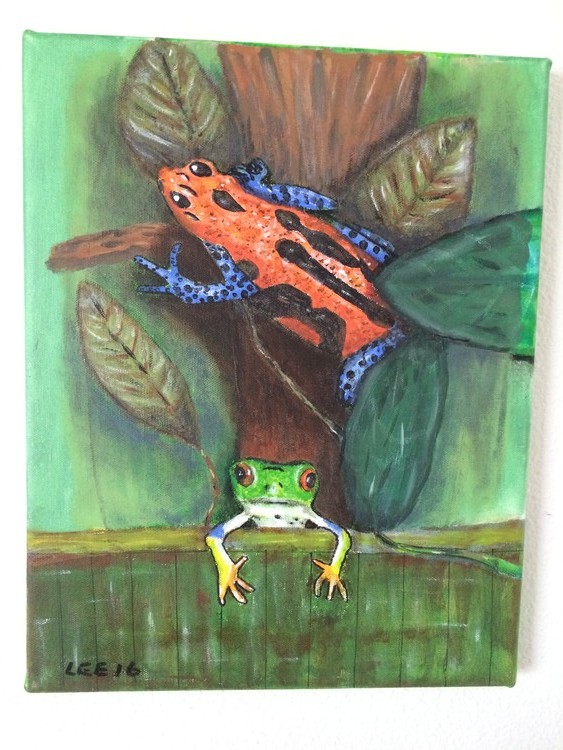 Frogs in the Forest