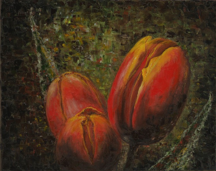 The Tulips in the Evening II