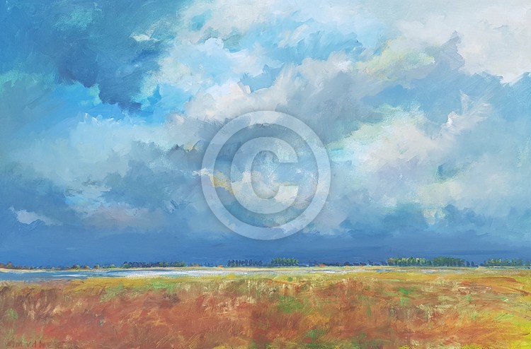 Landscape Zeeland 2017