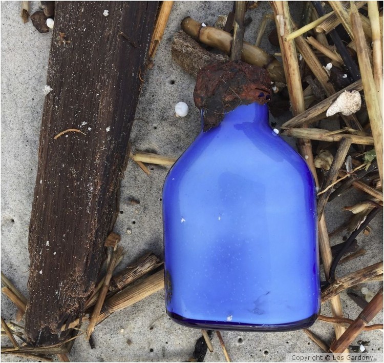 Blue bottle with seaweed and wood