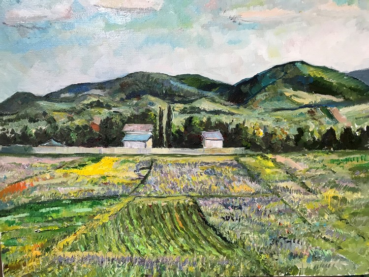 Lavender Fields of Bazaleti in June