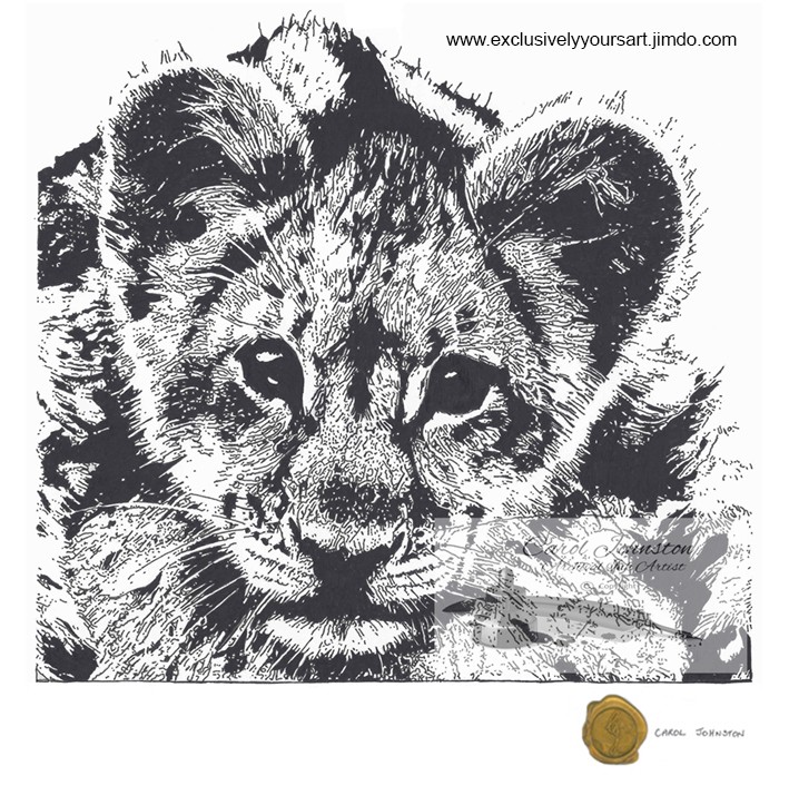 CJ Lion Cub - On A Rock