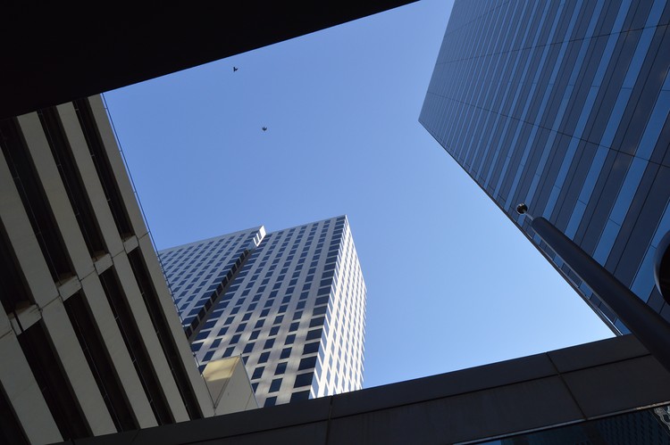 2 birds above St Paul 