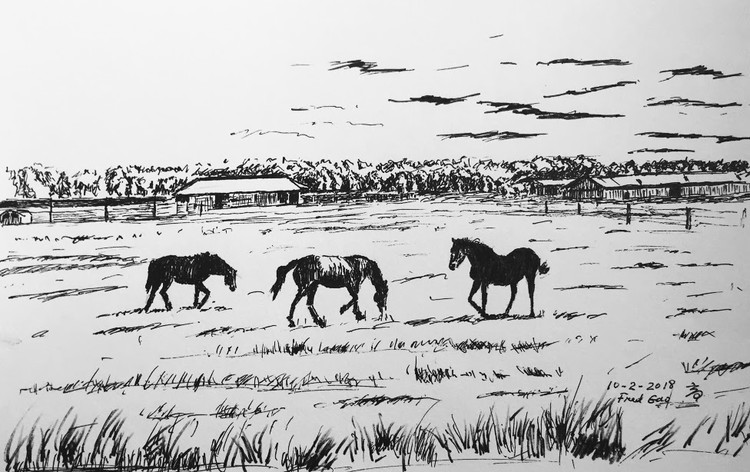 horse farm