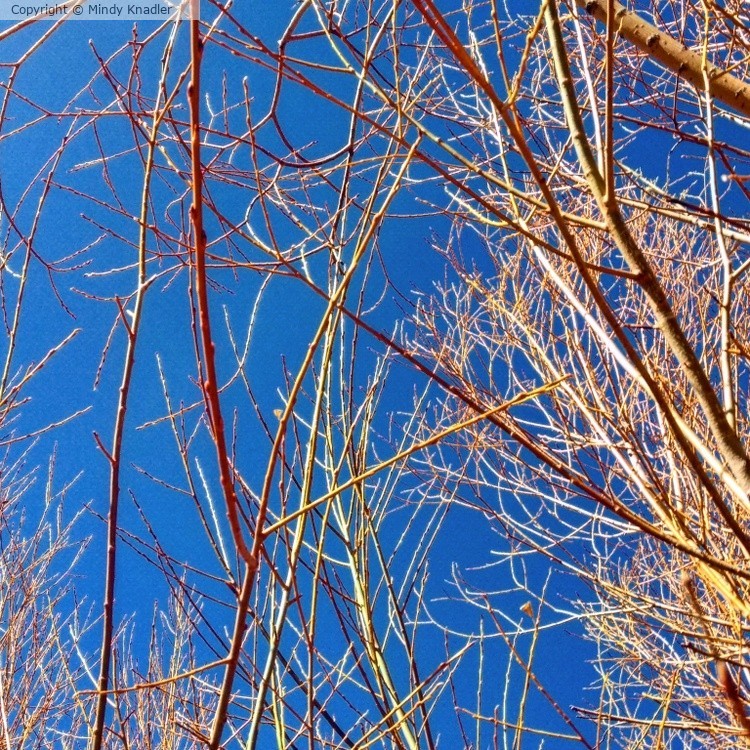 IMG 20200325 130958 091