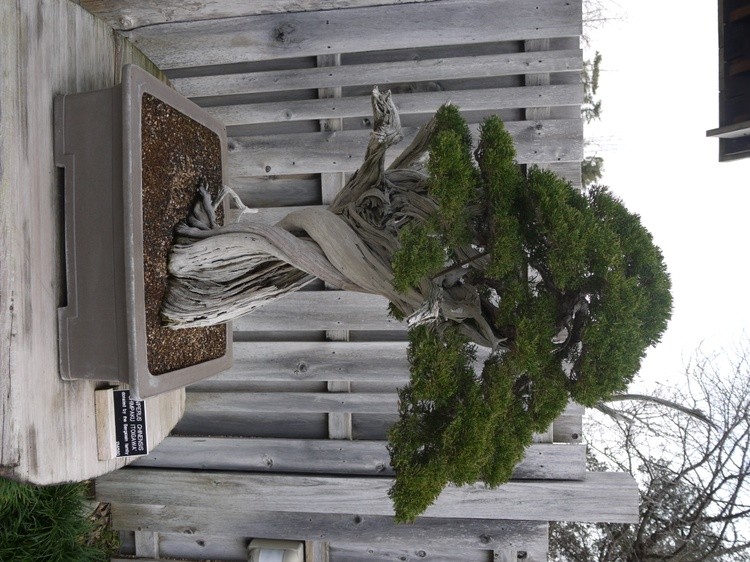P1230025