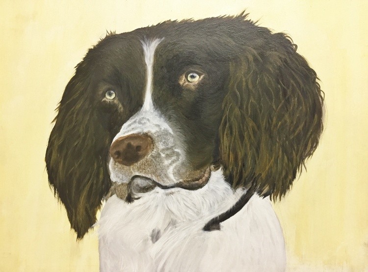 Dog with no name